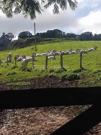 Imagem Fazenda a venda
