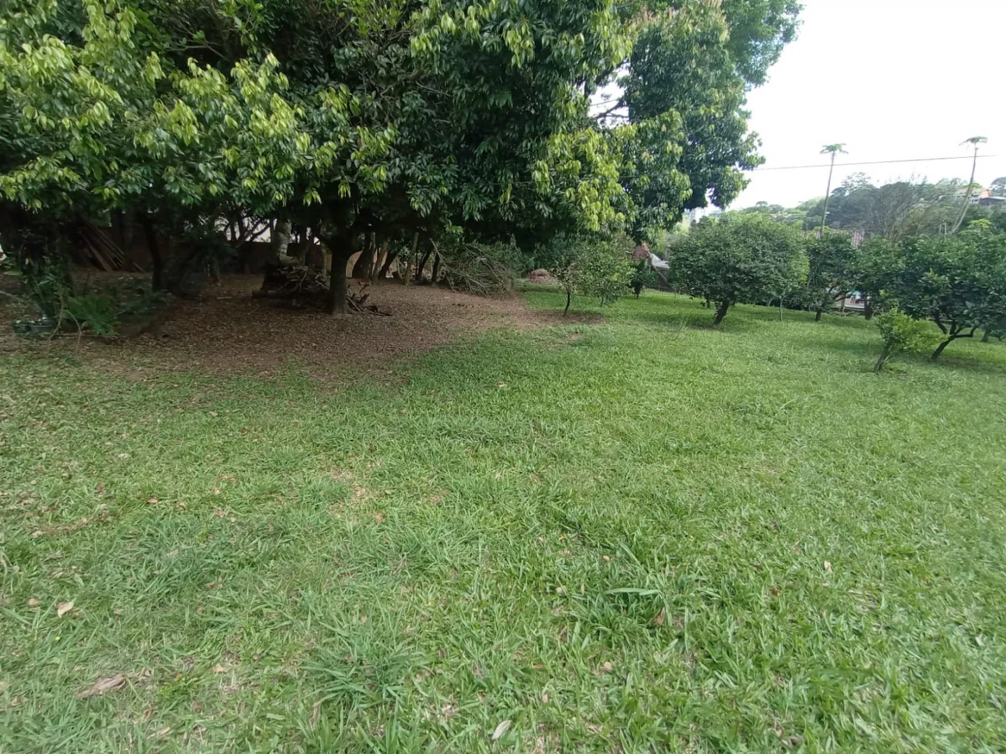 Imagem Sobrado 138m² à Venda no Tarumã em Viamão