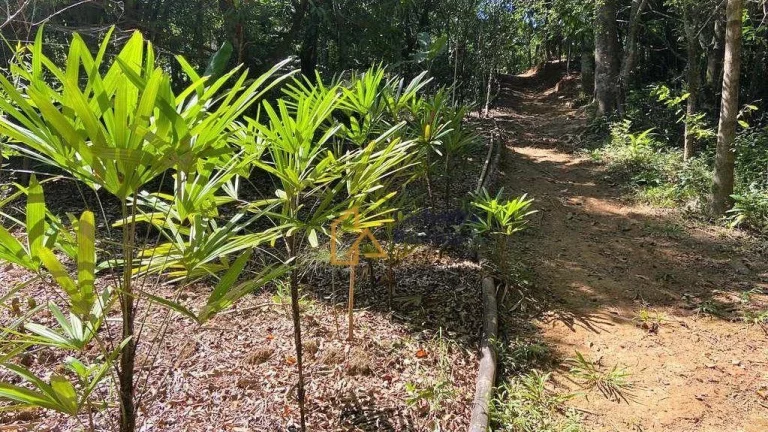 Imagem Chácara à venda - Margem Esquerda - Cachoeira Paulista/SP
