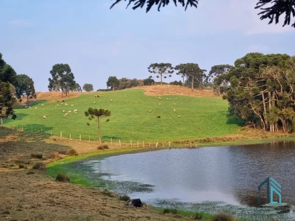 Foto do imóvel Sítio/Chácara a venda com 33 hectares bem localizado no interior de São Joaquim - SC