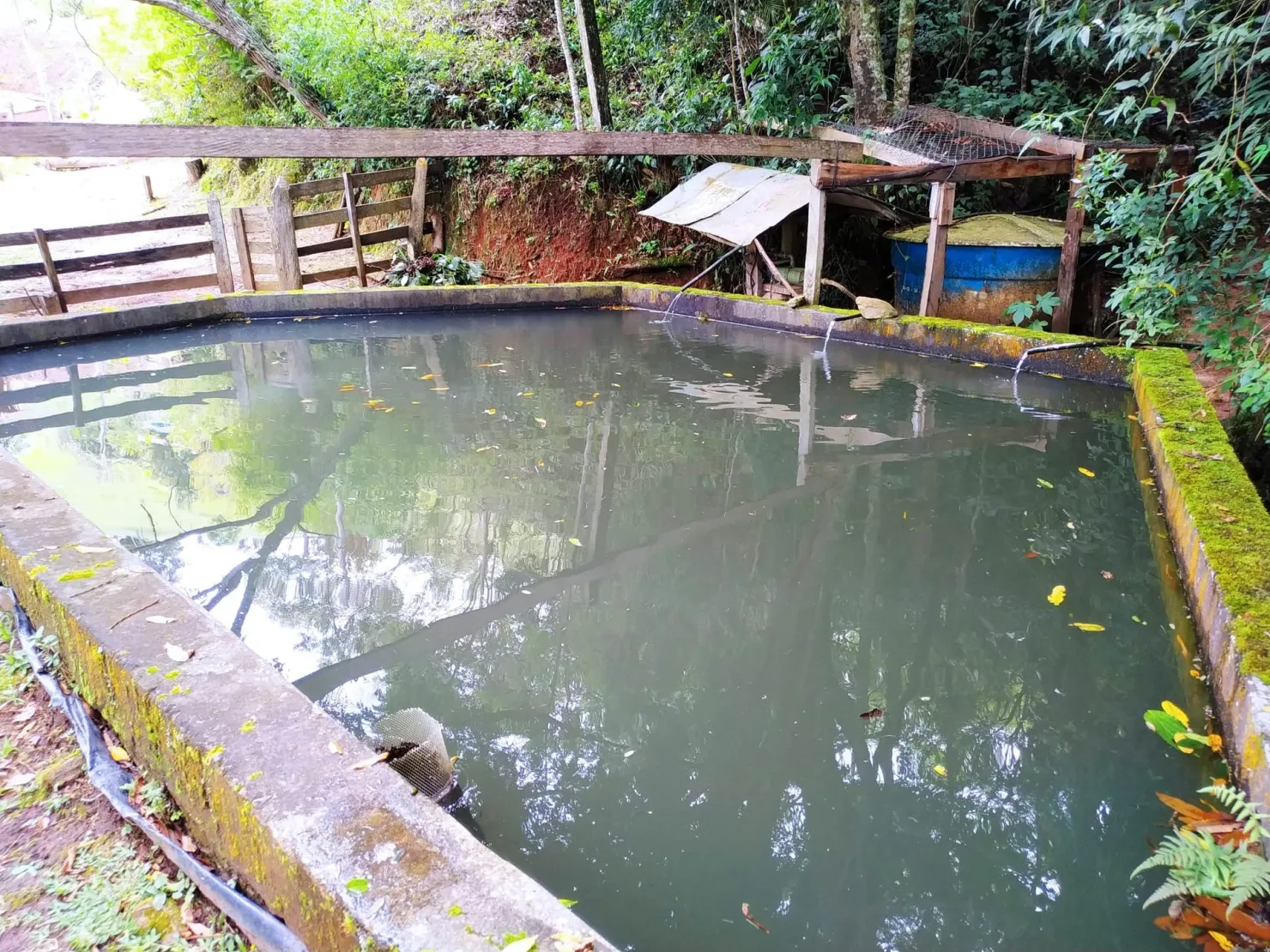 Imagem Chácara à venda 3 Quartos, 1 Suite, 1 Vaga, 121000M², Bairro dos Macacos, Silveiras - SP