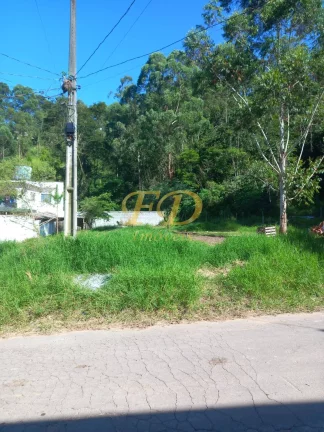 Imagem Terreno em Terra Preta/ Jardim Pereira