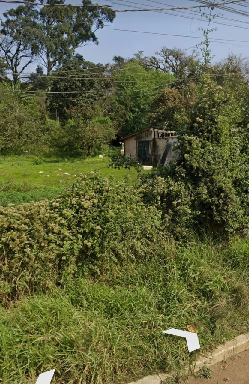 Imagem Terreno em Branquinha