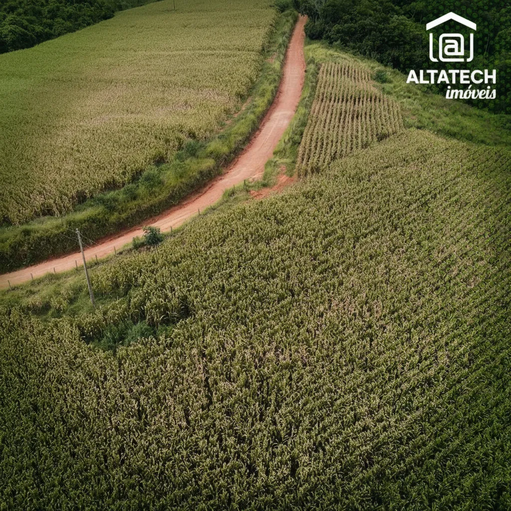 Imagem Fazenda 0 ha à venda em Roseira, Bandeira do Sul