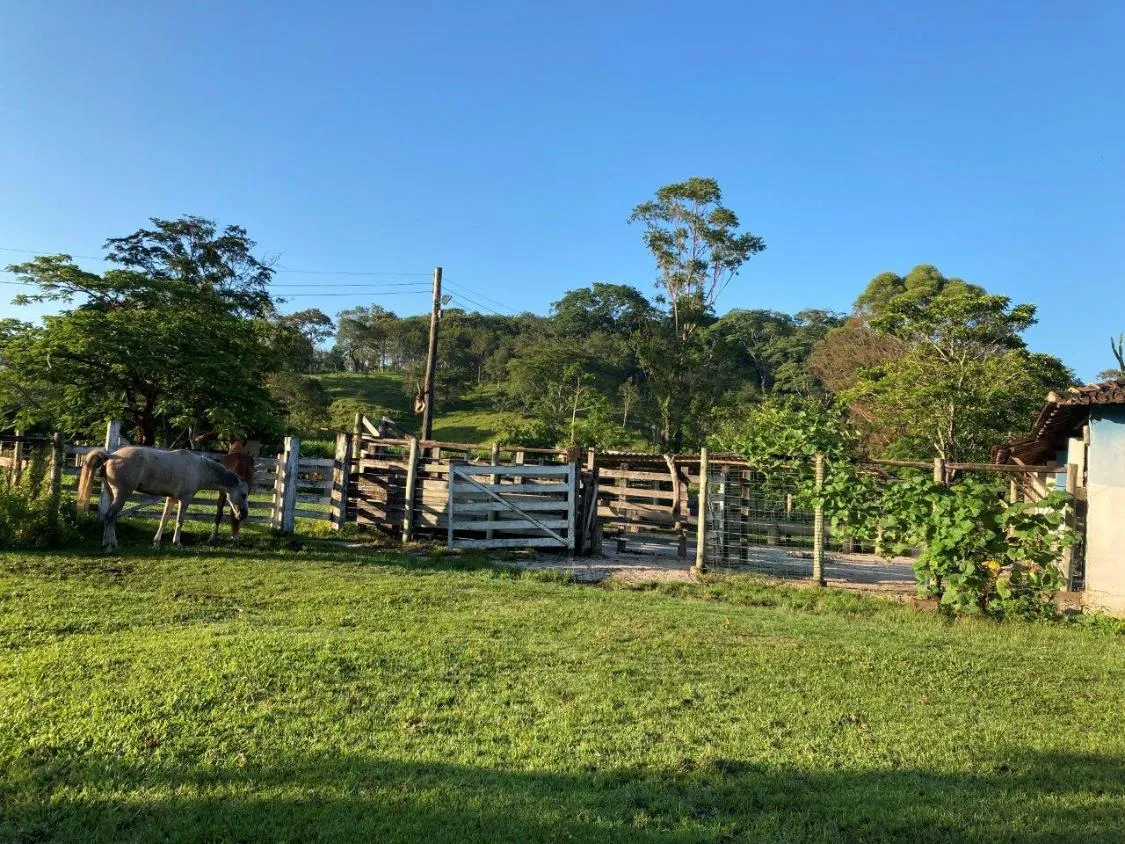 Imagem Vendo lindo sítio/fazendinha com 27 hectares de terra, localizado próximo a Florestal/MG.