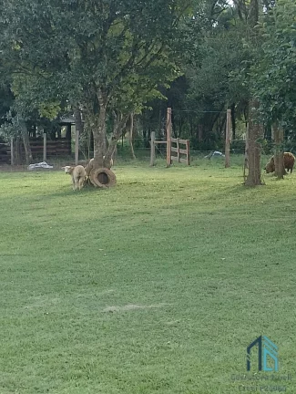 Imagem Terreno contem casa, em ótima localização na Lapa PR