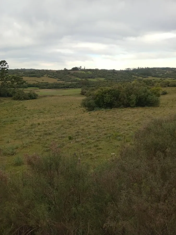 Imagem Sítio para Venda em Canguçu, zona rural, 3 dormitórios, 1 banheiro, 3 vagas
