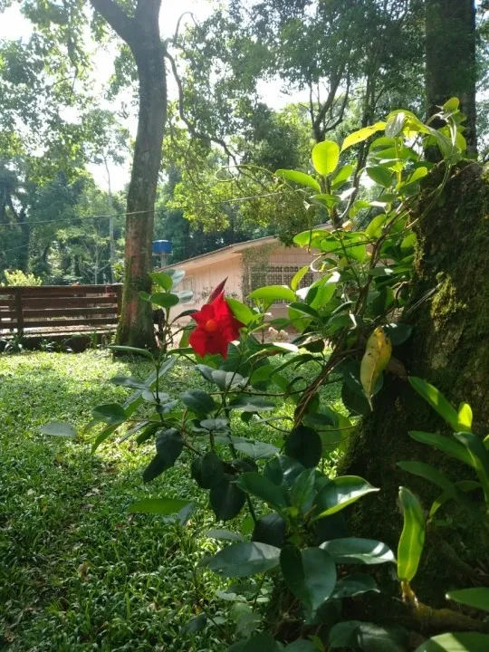Imagem Chácara 8000m2 com Piscina e Pomar em São Salvador Cascavel