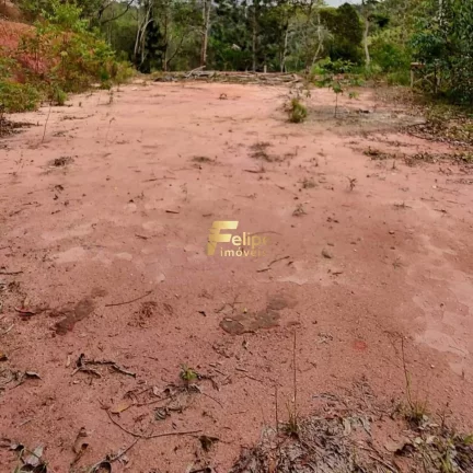 Imagem UM PARAÍSO EM MEIO A MATA ATLÂNTICA. CASA DE CAMPO MODERNA ALTO PADRÃO MOBILIADA COM PORTEIRA FECHADA.