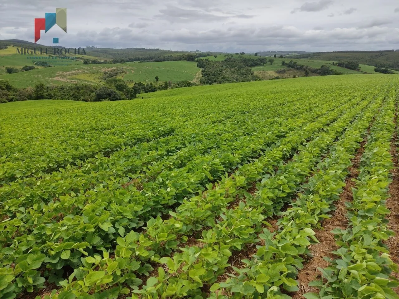 Sítio em Centro em rural