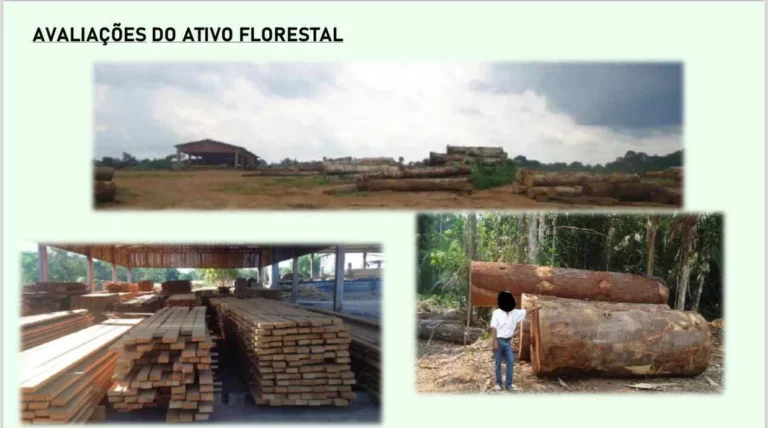Imagem Área - Propriedade à Venda - MT
