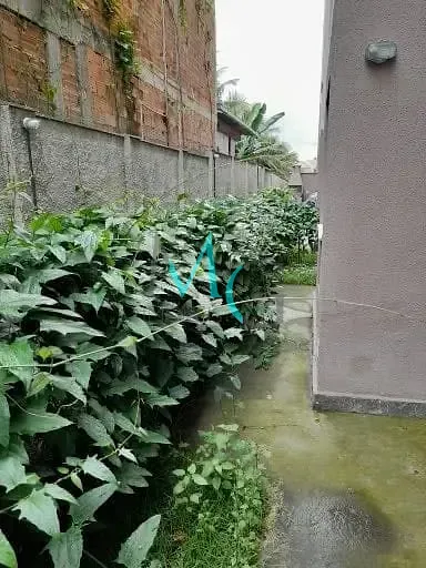 Imagem Apartamento com 2 dormitórios à venda, 45 m² por R$ 250.000,00 - Campo Grande - Rio de Janeiro/RJ