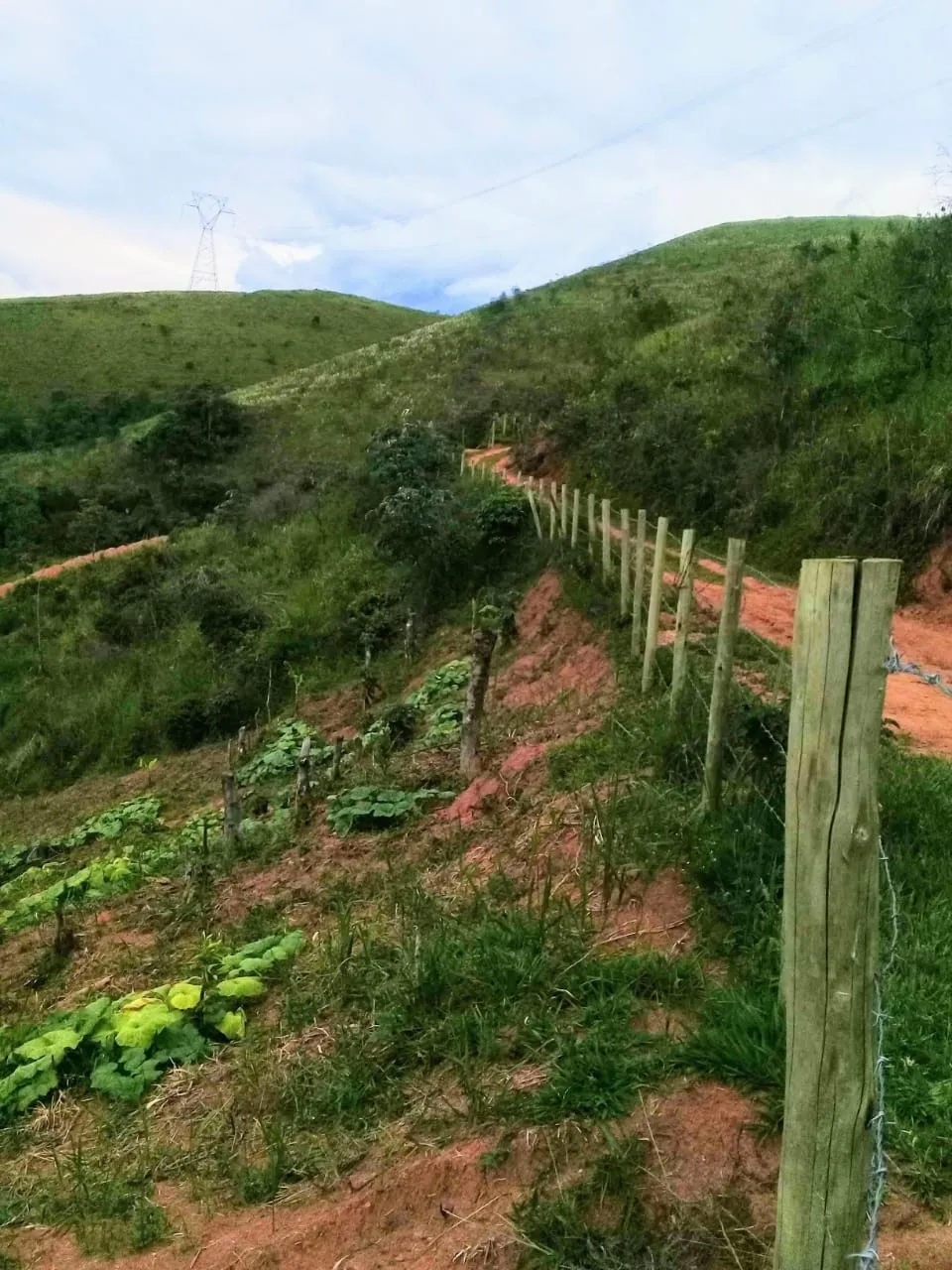 Imagem Chácara à venda 20000M², Mandú, Pindamonhangaba - SP