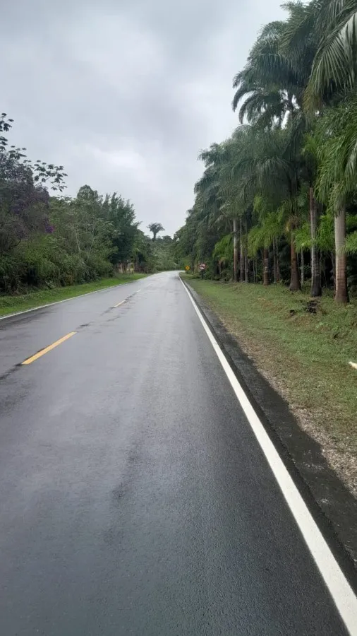Imagem Sítio para Venda em Sete Barras, Rural