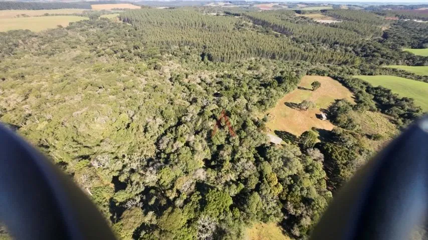 Imagem Sítio à venda com excelentes 24,62ha de área em Guarpuava PR