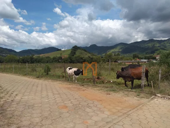Imagem Terreno à venda, 250 m² por R$ 80.000,00 - Centro - Piranguçu/MG