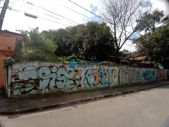 Terreno Padrão