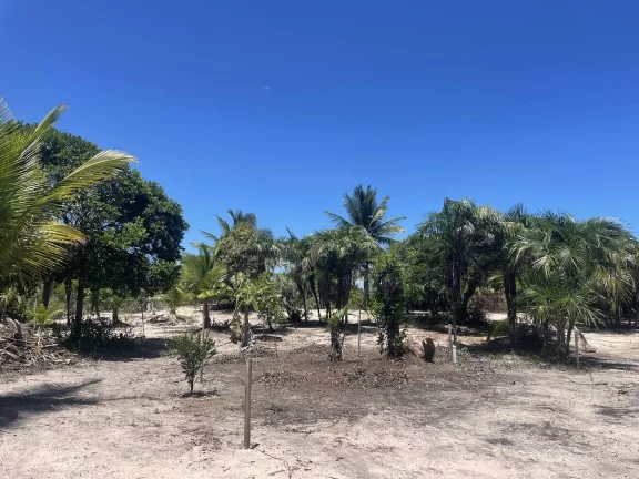 Imagem Terreno Praia Arandis