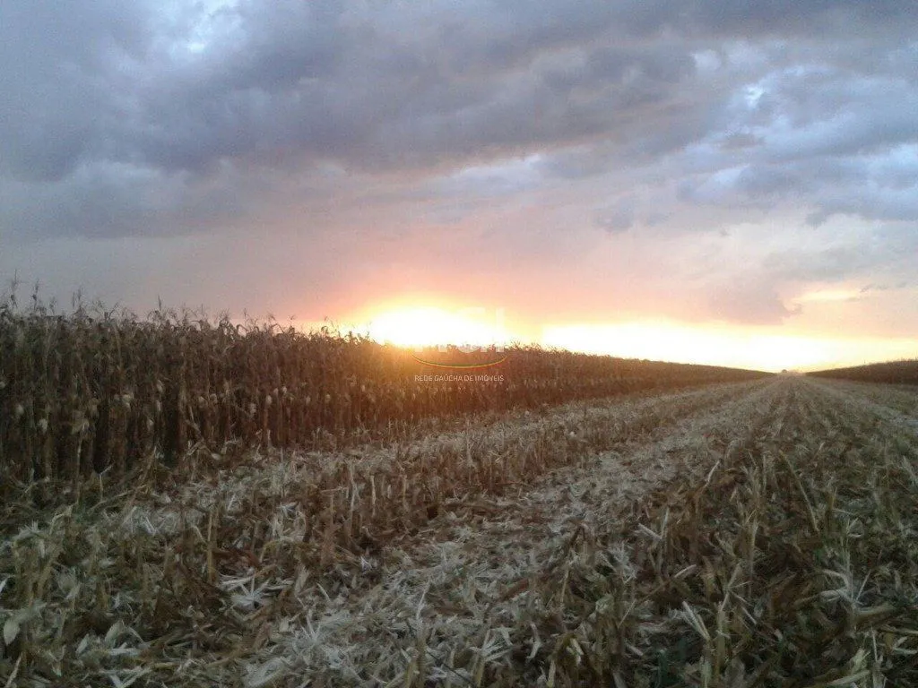 Imagem Terreno para Venda - 0m², 0 dormitórios, Centro