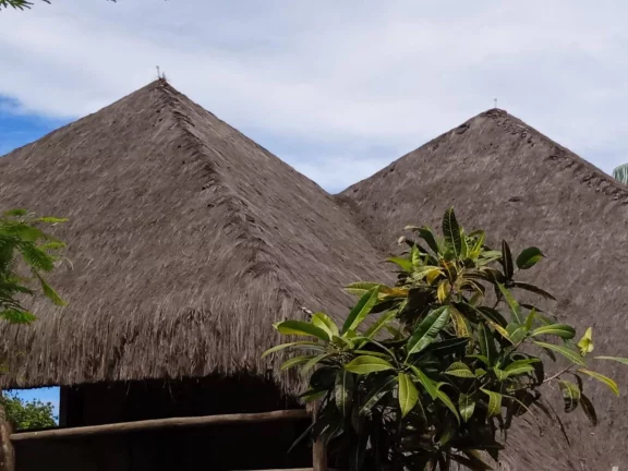 Imagem CASA BARRA GRANDE