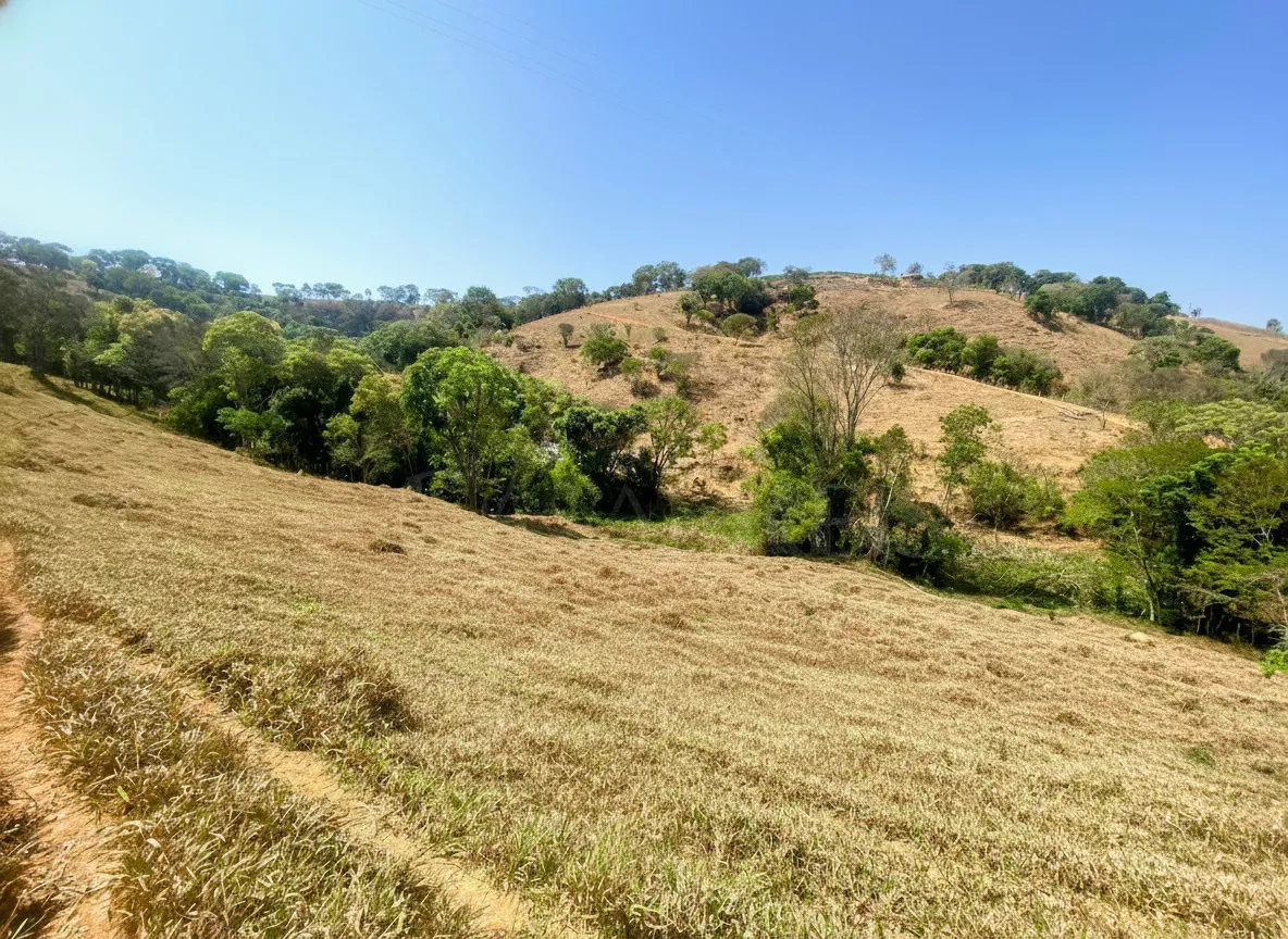 Imagem Sítio 2,42 ha à venda em Correias, Bandeira do Sul