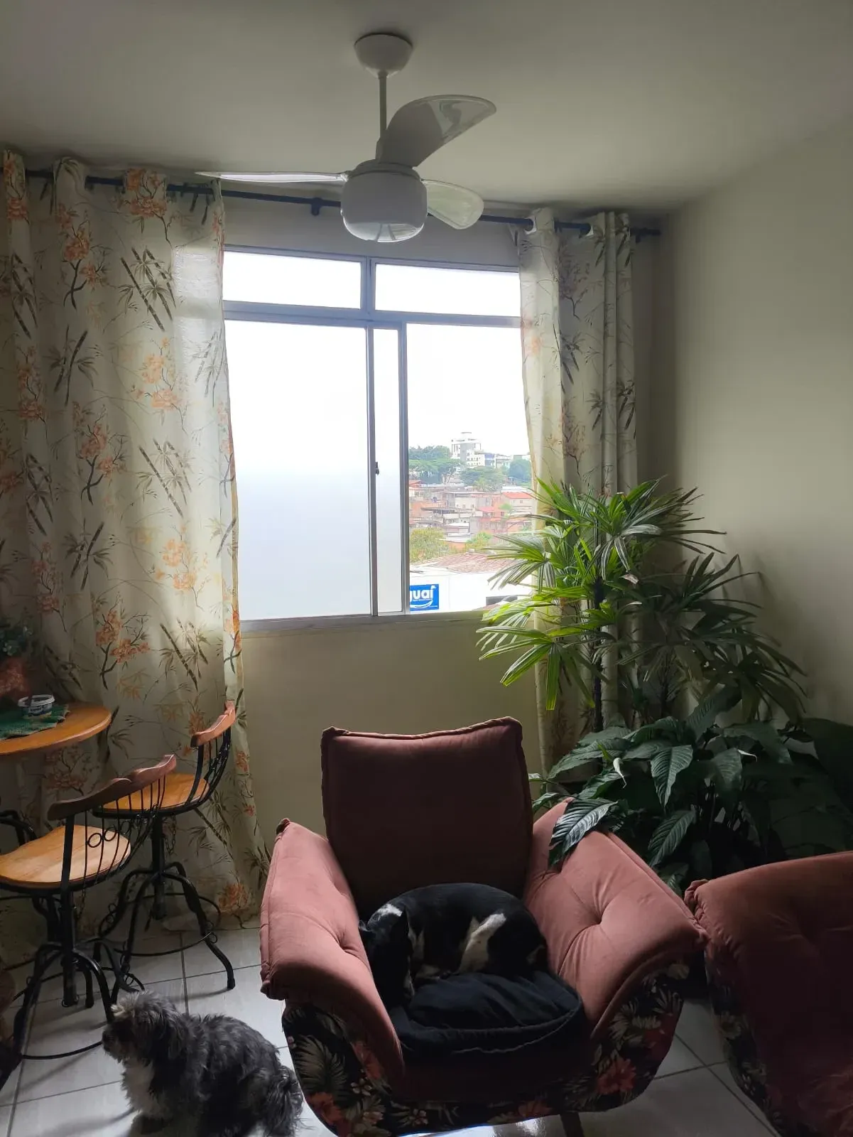 Imagem Apartamento com 3 Quartos à Venda, 52 metros em Vila Paris - Contagem