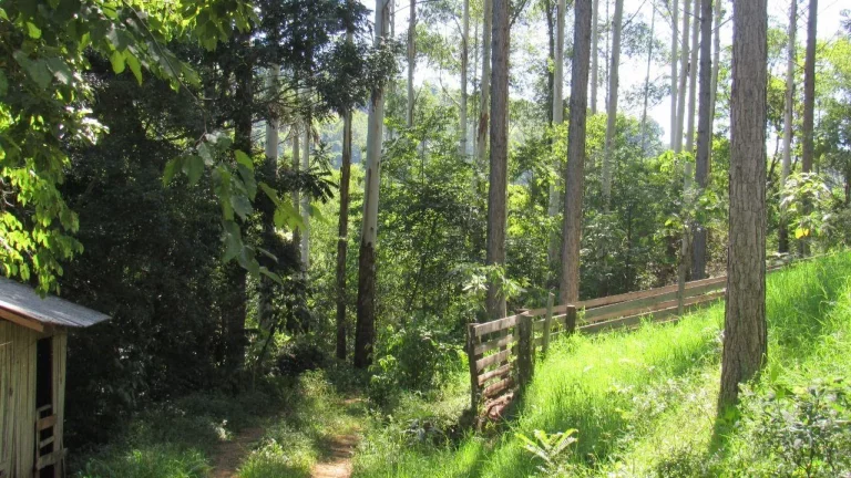 Imagem Área Agrícola para Venda em Jaborá, Rural
