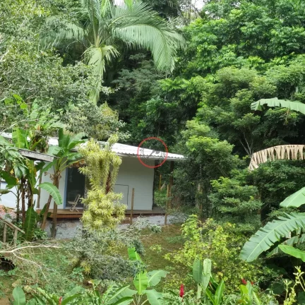 Imagem LINDA CASA, 3 SUITES C/AR COND, MUITO VERDE,DESENHO ARQUITETÔNICO e 1 STUDIO/SUÍTE EXTERNA C/ BANHEIRA DE IMERSÃO EM 900 MT ²