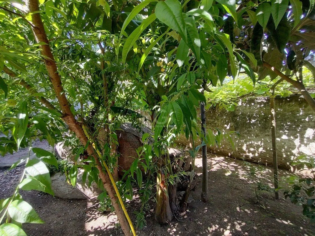 Imagem Casa para Venda - 100m², 3 dormitórios, 2 vagas - Lomba do Pinheiro