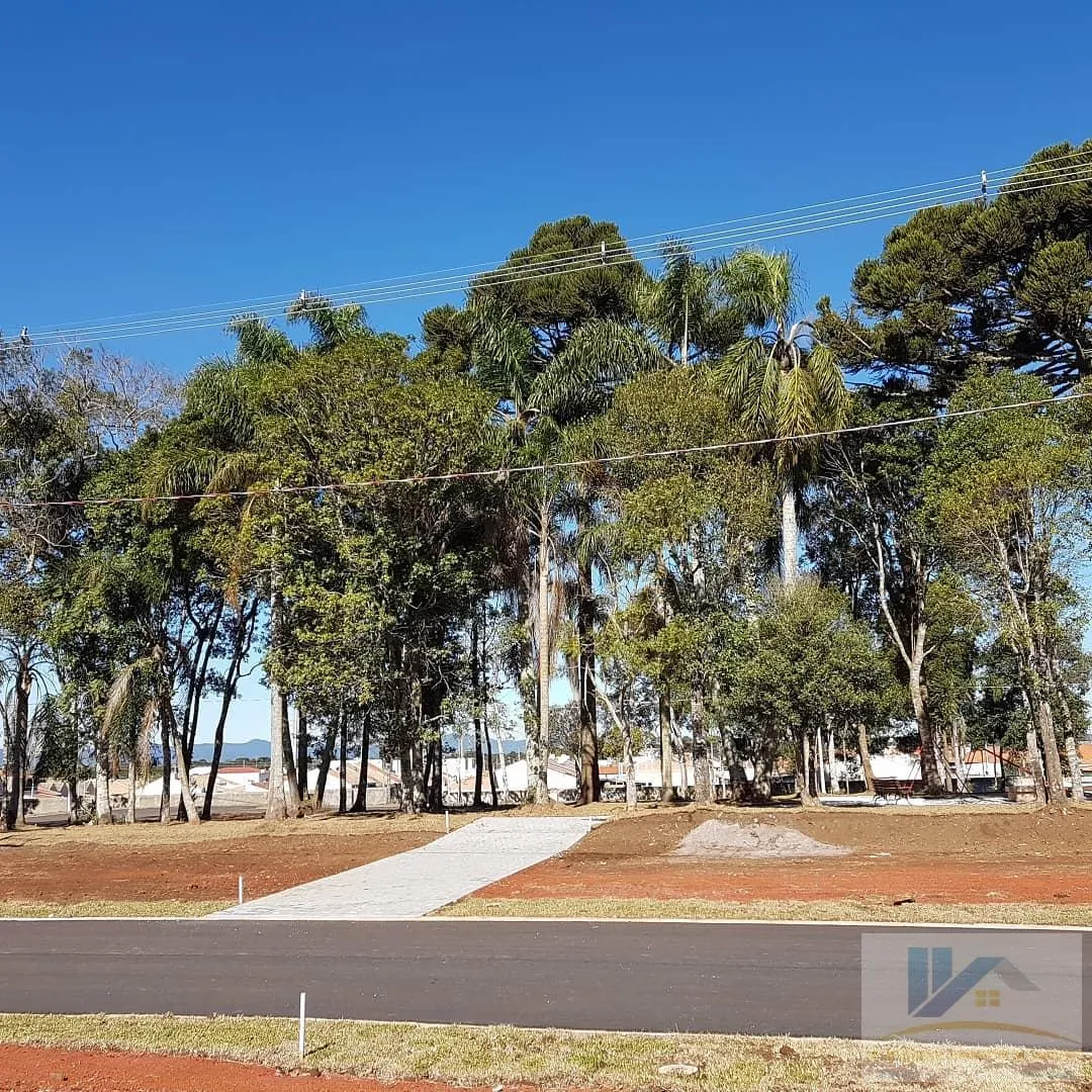 Imagem Lote para Venda em São José dos Pinhais, Campo Largo da Roseira