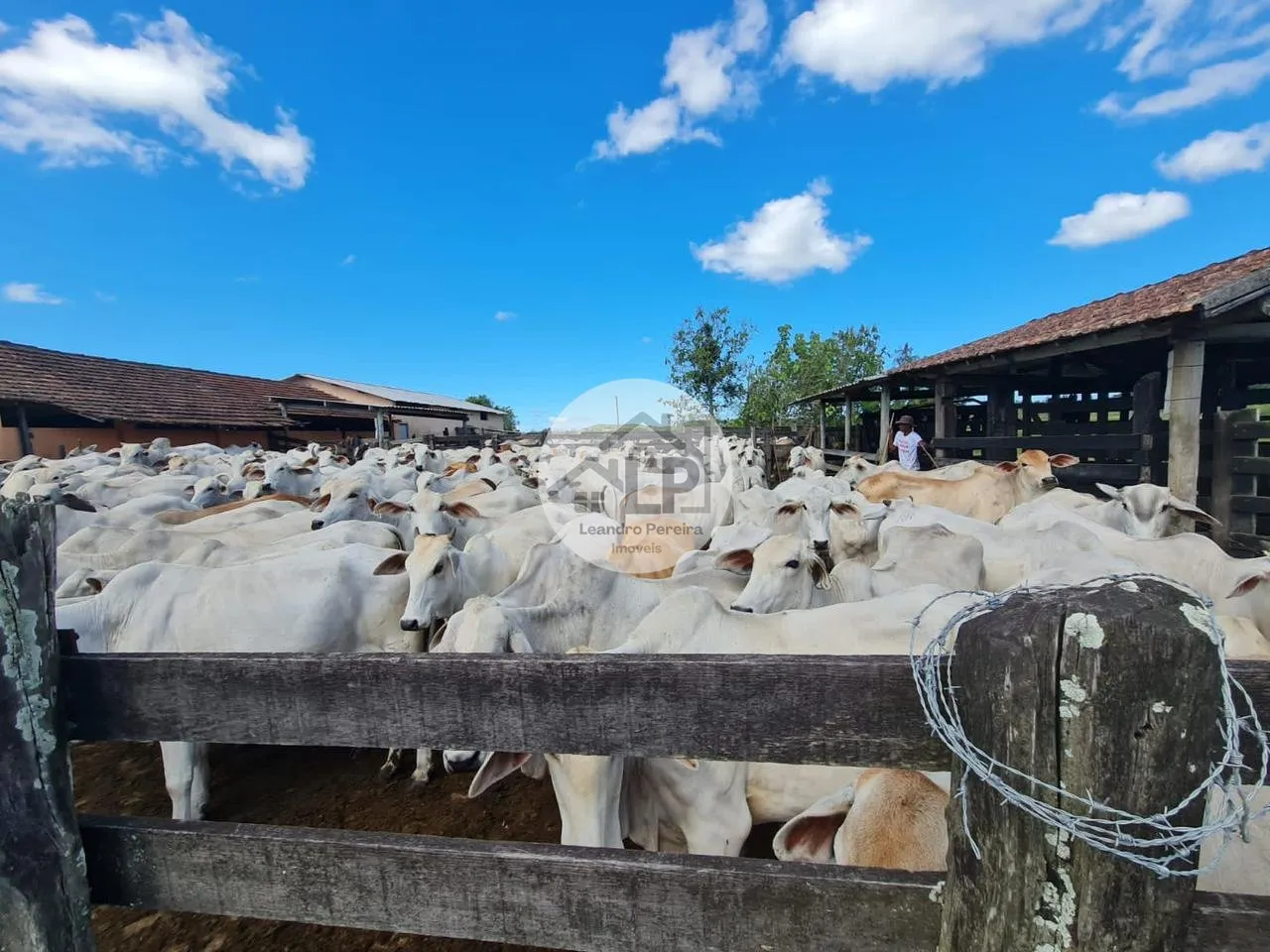 Imagem Fazenda/Sítios/Chácaras de 2300000m² no bairro Banqueiros, em Araruama