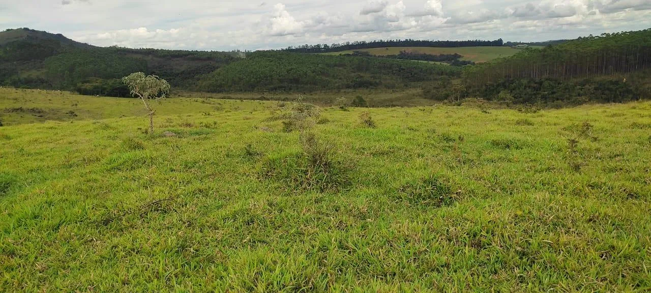 Imagem endo uma excelente fazenda em Desterro de Entre Rios com 277 hectares de terra