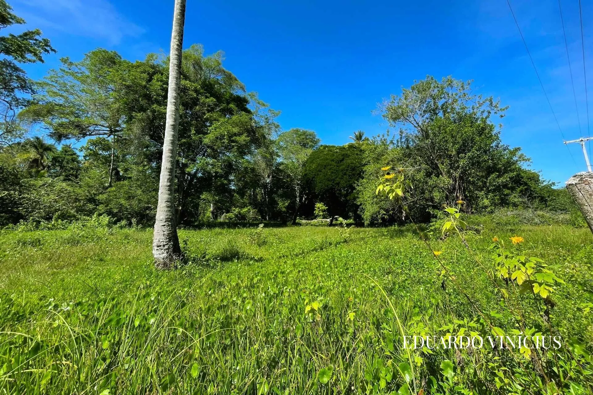 Imagem Terreno 4.020 m² à Venda na Praia do Encanto em Morro de São Paulo