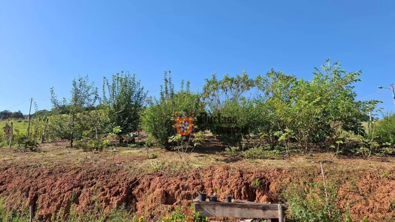 Imagem Chácara com 2 dormitórios à venda, 5938 m² por R$ 550.000 - Cambuí - Cambuí/MG