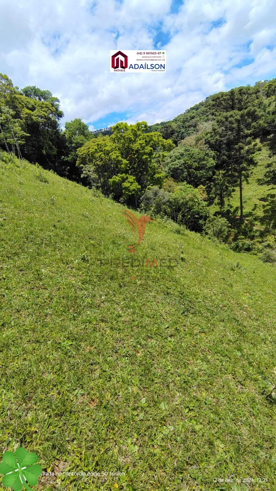 Imagem SÍTIO DOS SONHOS EM ANGELINA - SC Brasil