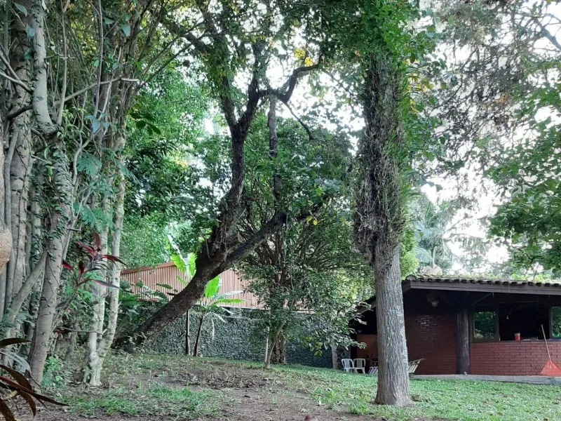 Imagem Comprar casa 3 quartos em Vila Albertina São Paulo SP, casa de alto padrão em São Paulo-SP, house for sale in São Paulo, house for sale in Brazil