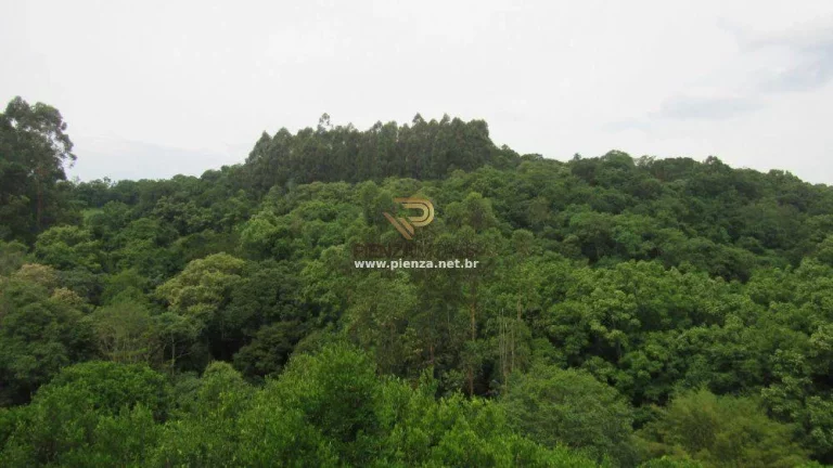 Imagem Terreno para Venda em Ipumirim, Rural
