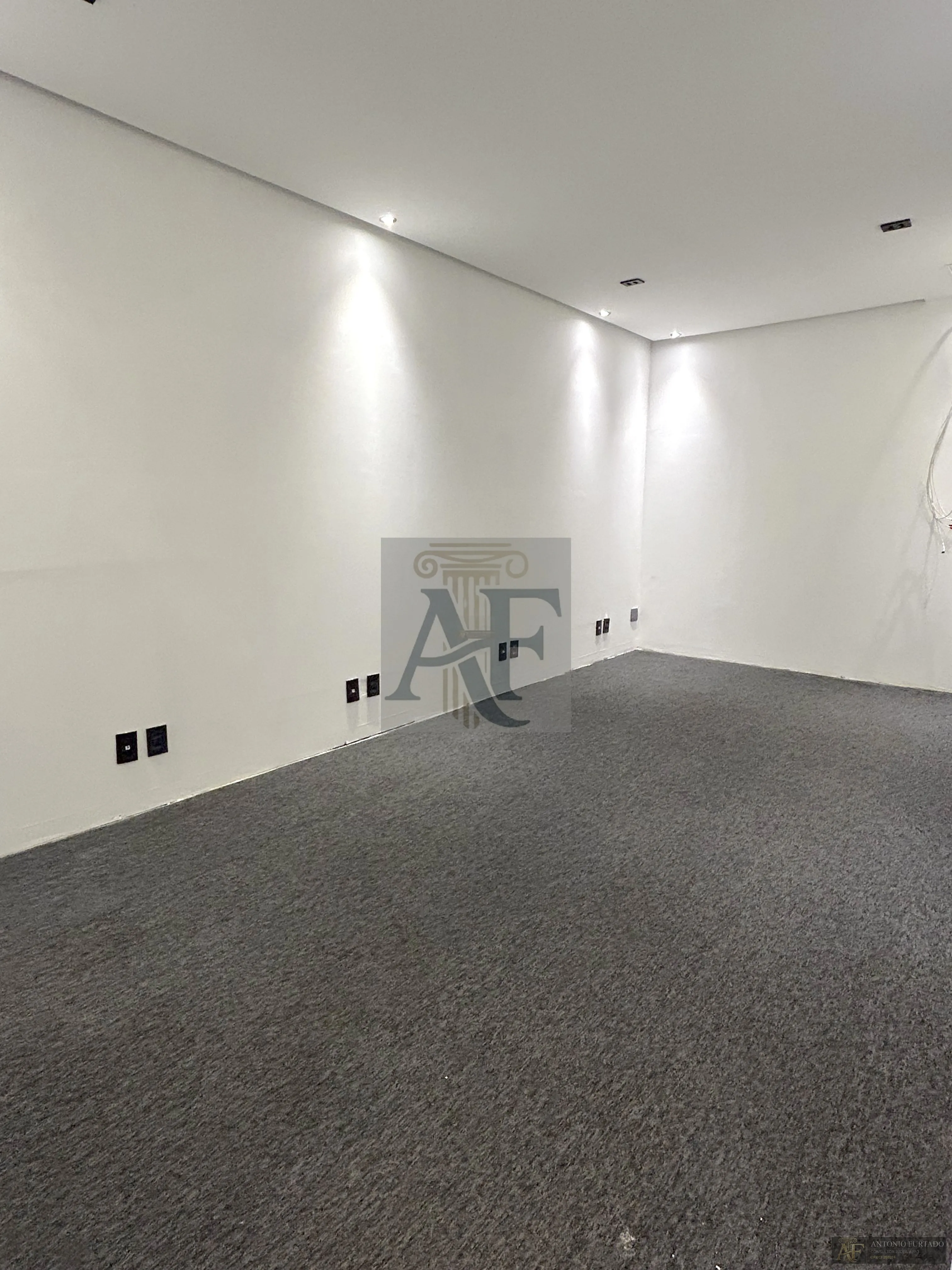 Imagem Comercial para alugar em Jardim Avelino, São Paulo