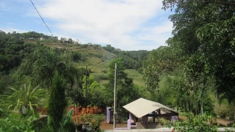 Imagem Casa para Venda em Concórdia, Colibri, 3 dormitórios, 2 banheiros, 2 vagas