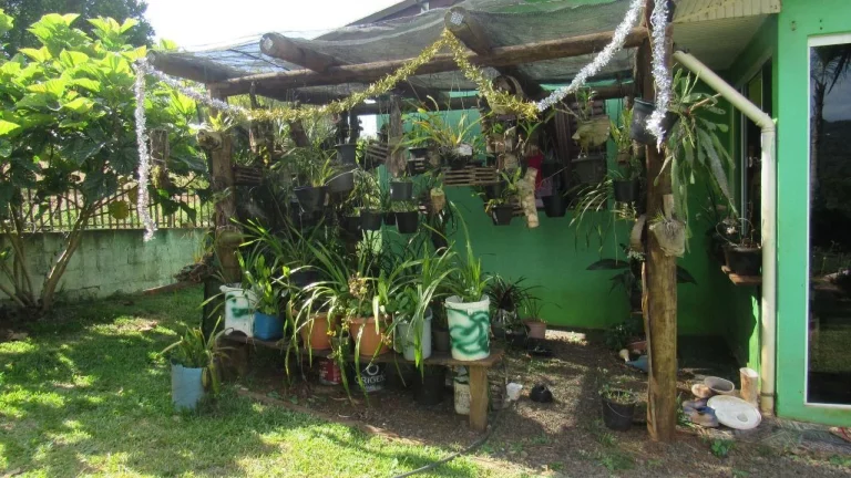 Imagem Casa para Venda em Peritiba, Rural, 3 dormitórios, 2 banheiros