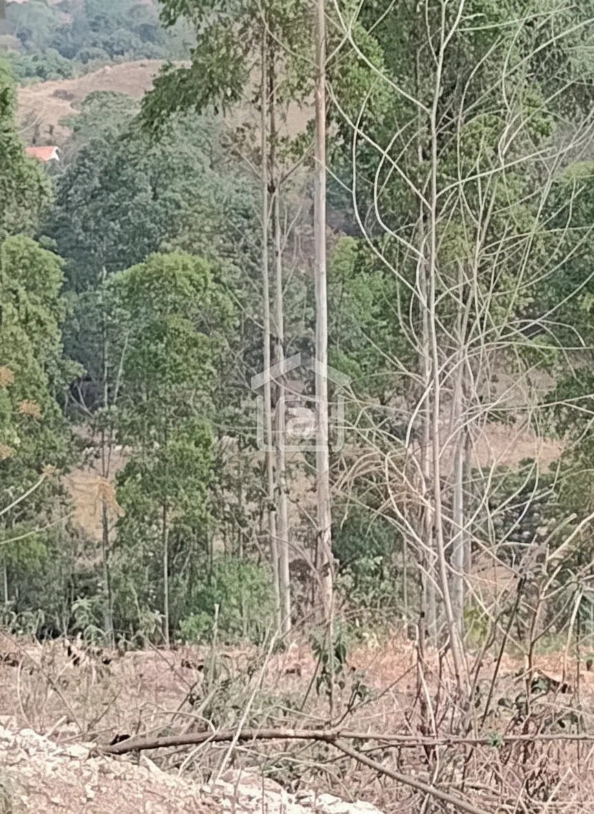 Imagem Sítio 24 m² à venda em Pocinhos do Rio Verde, Caldas