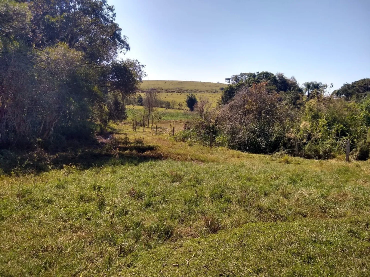 Imagem Chácara à venda, Bosque dos Ipês, Guaratinguetá, SP