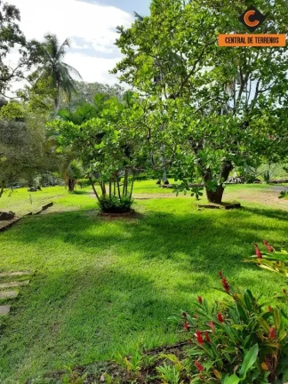 Imagem SÍTIO EM ABRANTES - CAMAÇARI