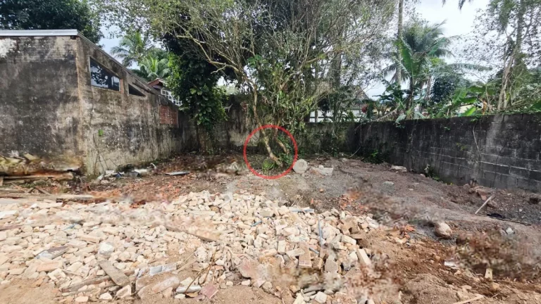 Imagem TERRENO EM BOIÇUCANGA 1300 METROS QUADRADOS, TODO MURADO,BEM LOCALIZADO,PERTO DE TODA ESTRUTURA DO BAIRRO.OPORTUNIDADE