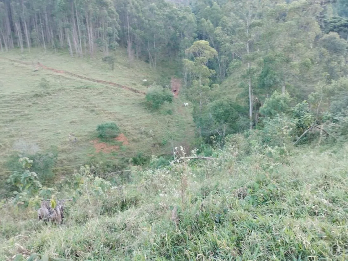 Imagem 4 Alqueires à Venda em Piracaia ? Ótima Localização!