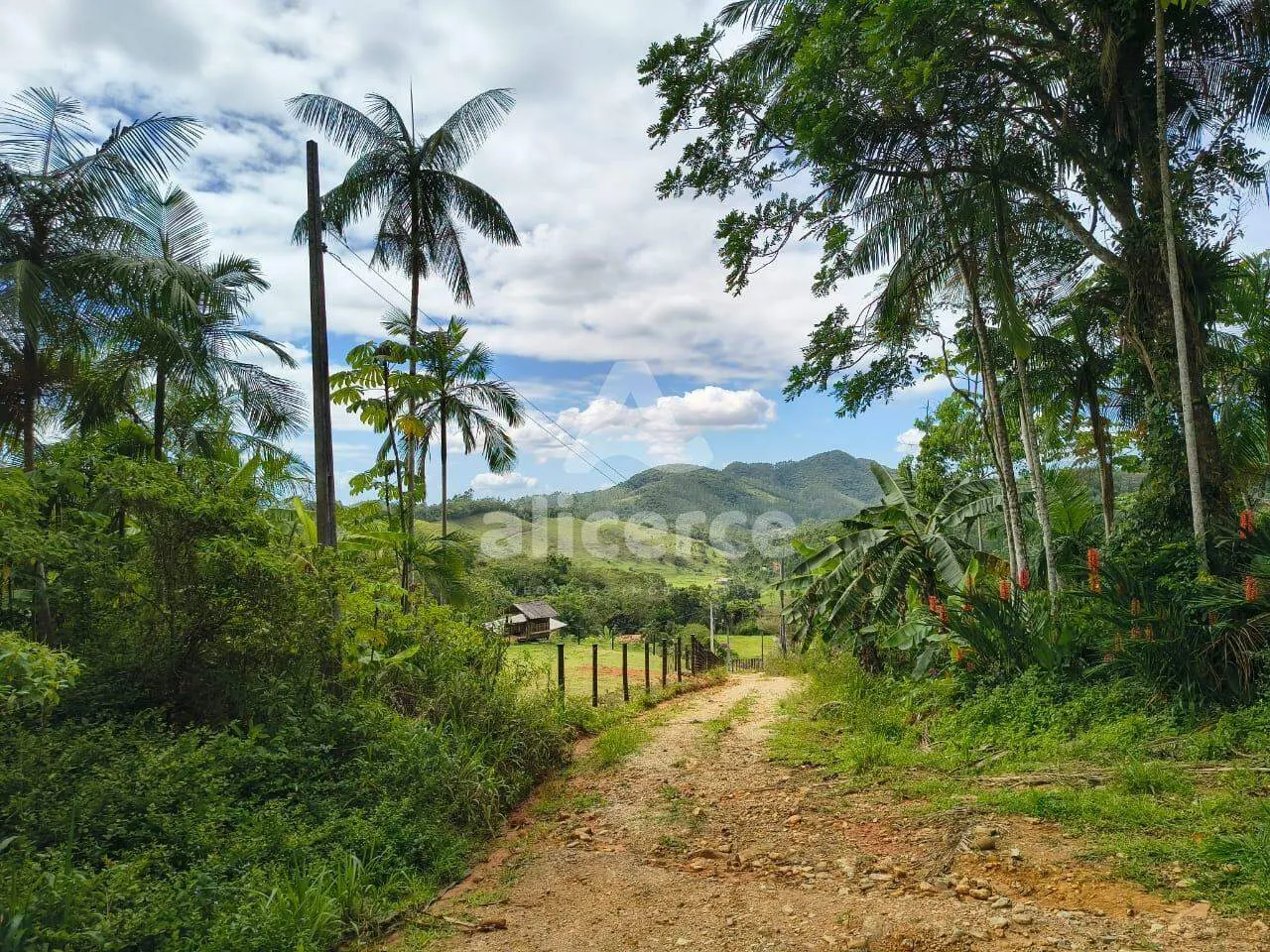 Imagem Sítio à venda com , 260.084m² em Área Rural de Biguaçu Biguaçu
