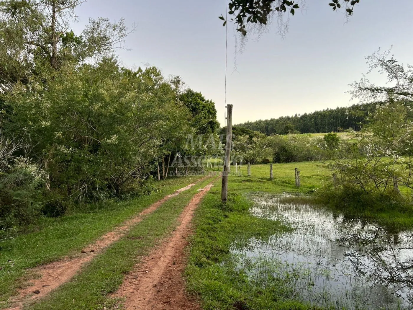 Imagem Chácara de 10 hectares para venda em Lomba Grande, Novo Hamburgo