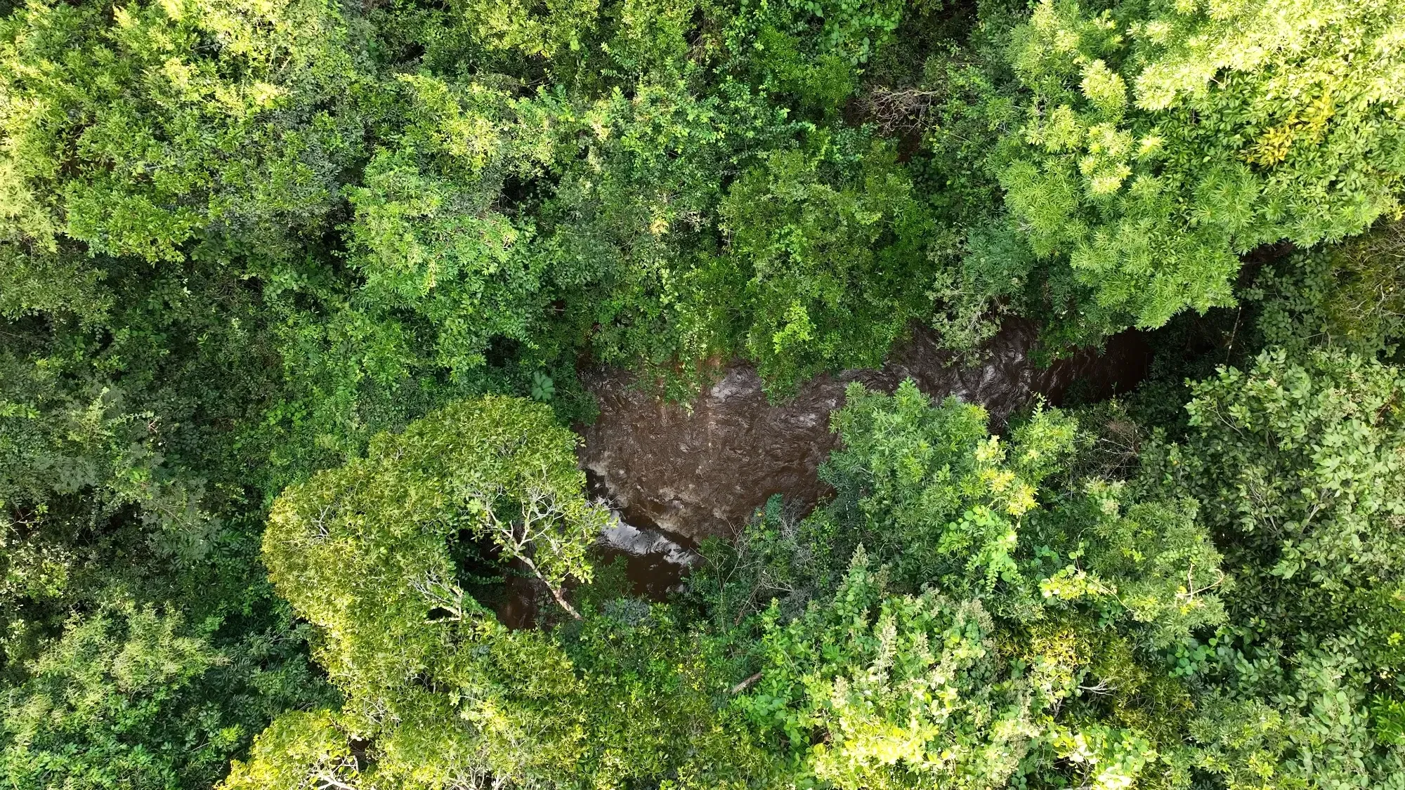 Imagem Fazenda à Venda, 232 HA em Zona Rural - Franca
