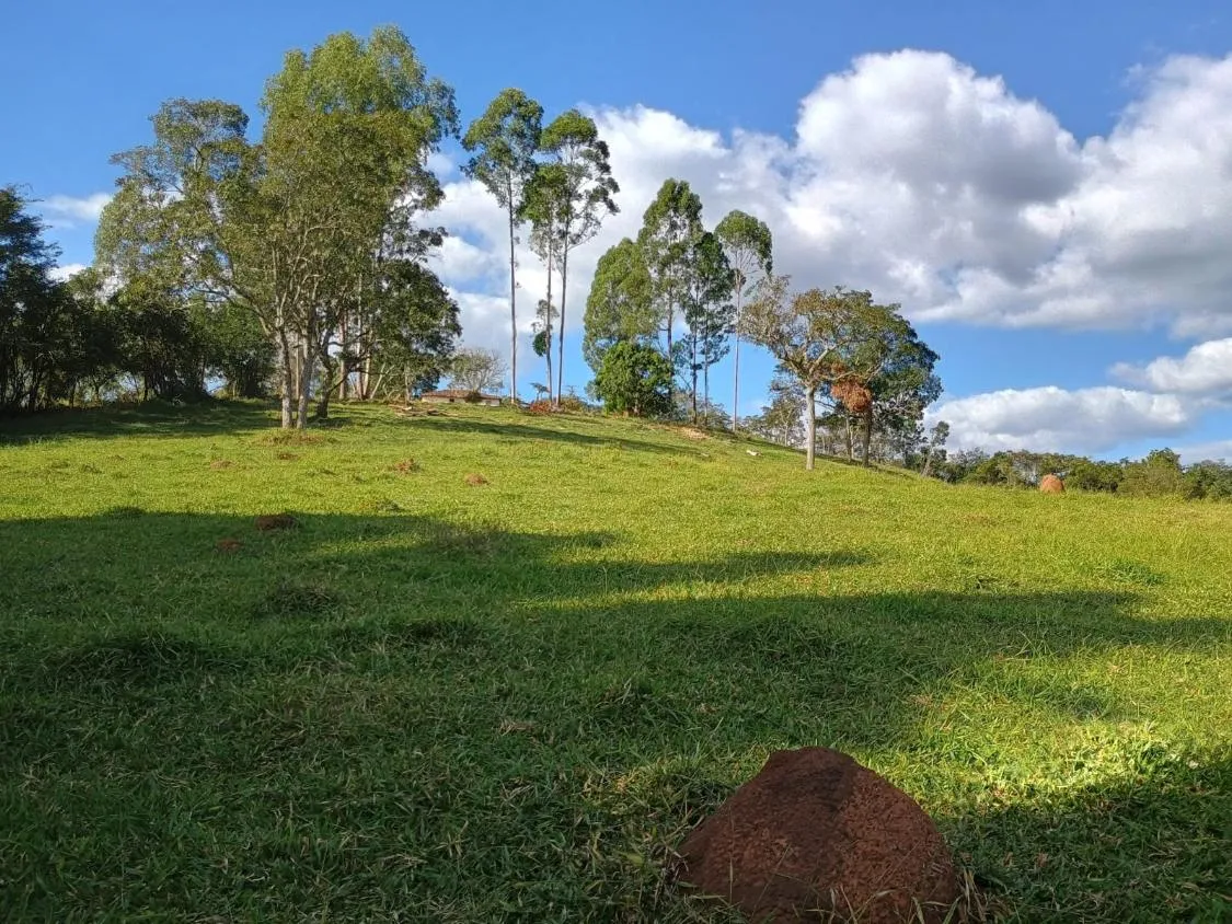 Imagem Excelente Terreno à Venda em Oliveira/MG: 34 Hectares com Boa Disponibilidade de Água