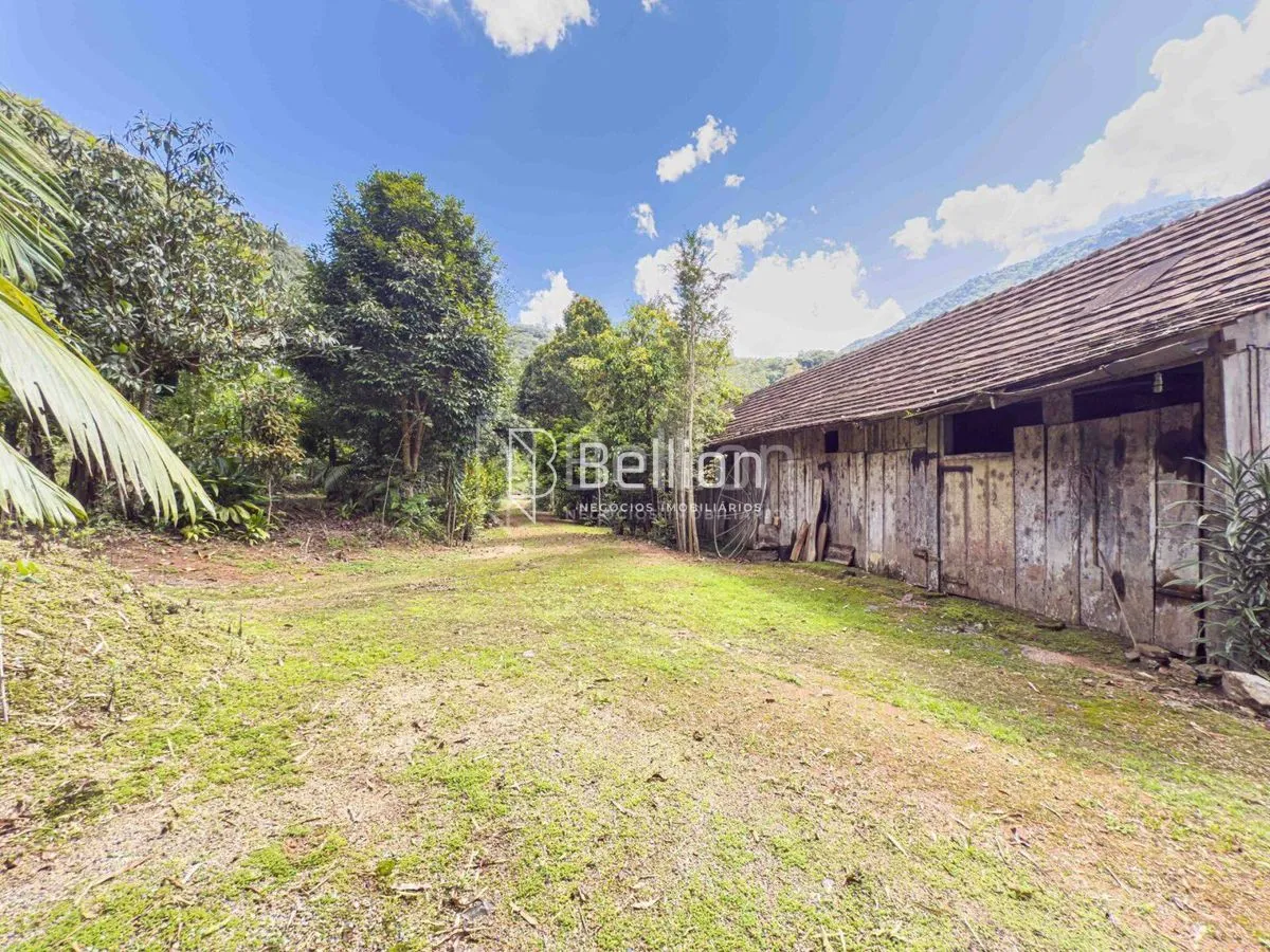 Imagem Sítio com casa em madeira de lei e riqueza em água em Rio dos Cedros